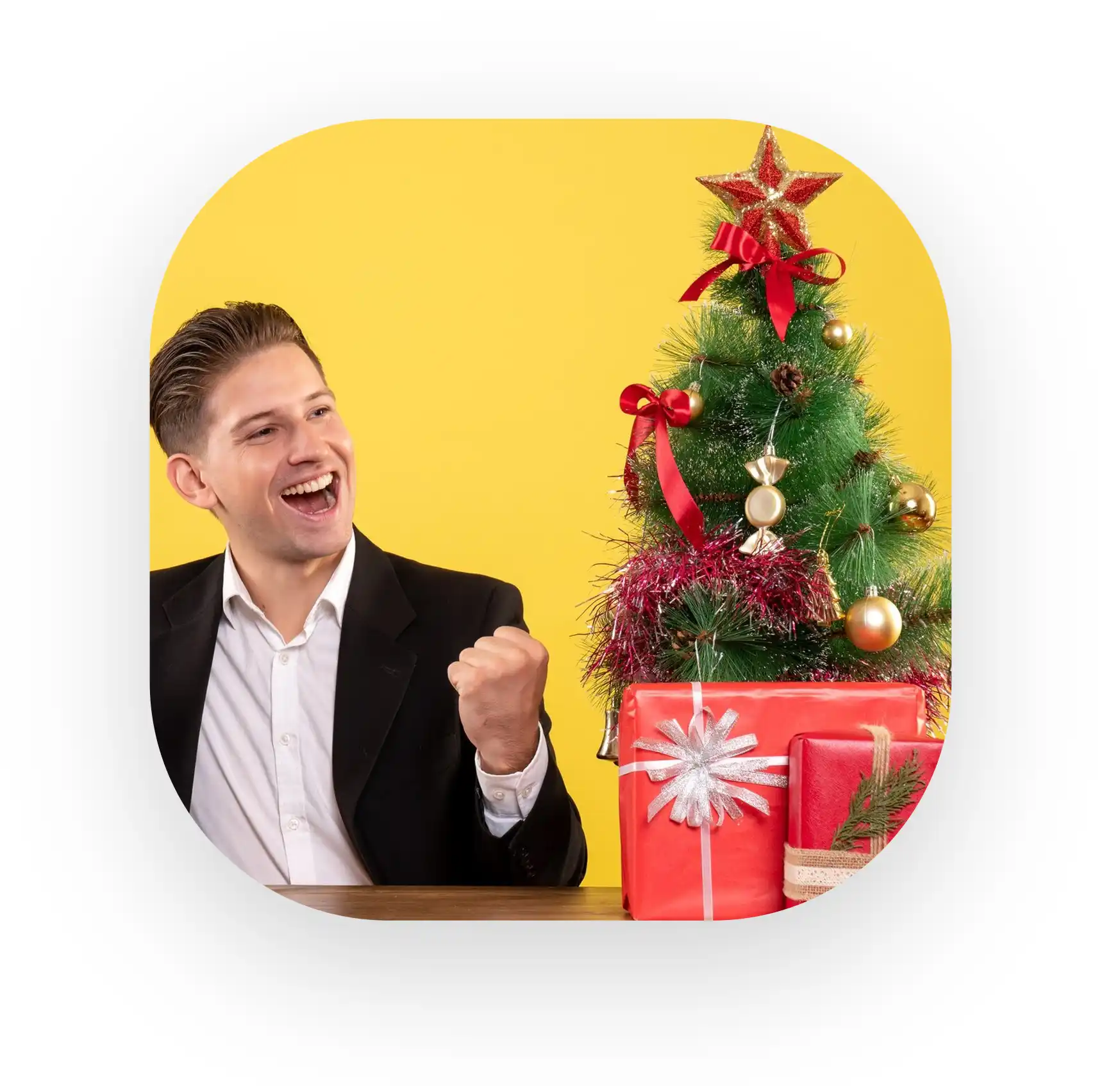 Artículos para Navidad